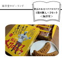 【ふるさと納税】 海洋堂ホビーランド「館長の木刀バナナカステラ」 1箱4個入×5セット【館長の木刀バナナカステラ 海洋堂ホビーランド 館長 木刀 バナナカステラ 運命をかける 大阪府 門真市 】