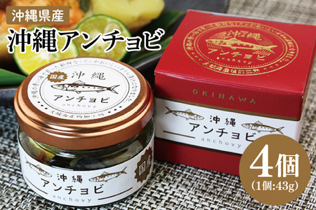 【沖縄県産】沖縄アンチョビ 43g×4個 (BX004)