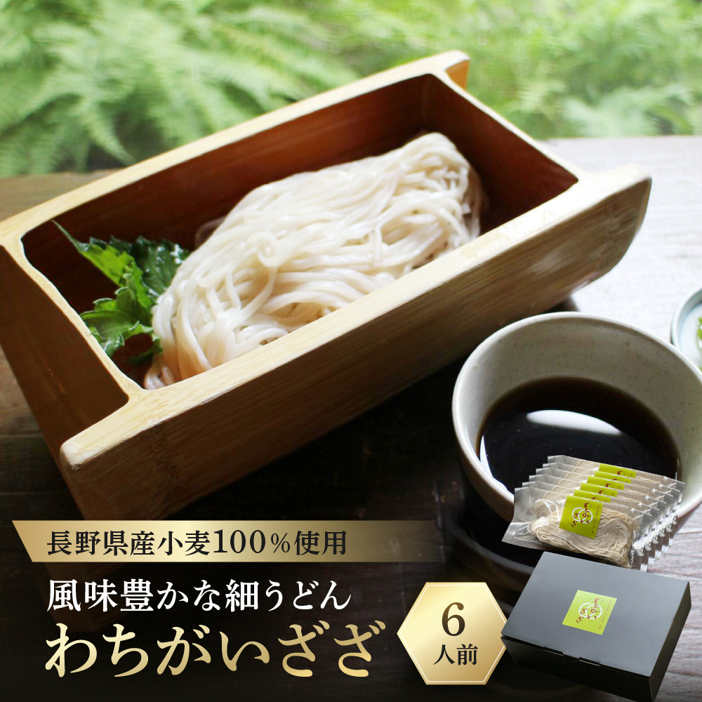 【長野県産小麦100％使用】風味豊かな細うどん　わちがいざざ　6人前入
