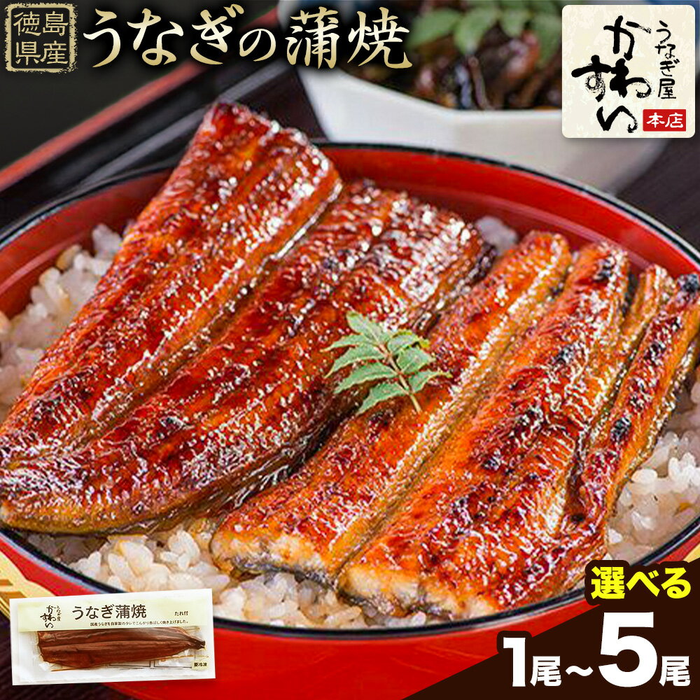 【ふるさと納税】【楽天限定】楽天グルメ大賞13年連続受賞！うなぎ屋かわすい 国産うなぎの蒲焼 1尾150g-169g 選べる内容量 1尾 2尾 3尾 4尾 5尾 川口水産株式会社《30日以内に出荷予定(土日祝除く)》徳島県 上板町 鰻 うなぎ ウナギ 鰻の蒲焼き 蒲焼 蒲焼き 国産