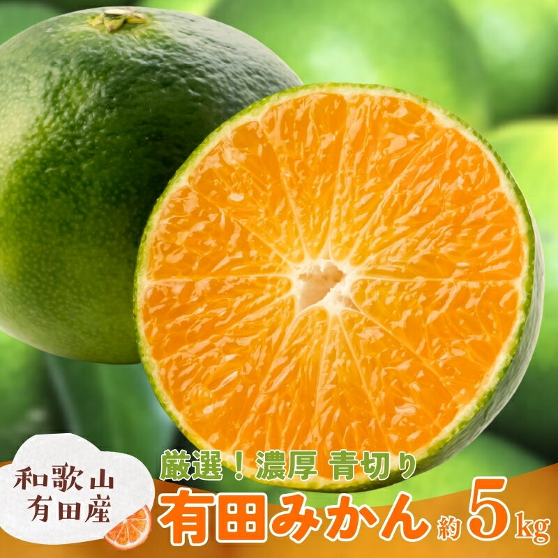 【ふるさと納税】特選　青切り有田みかん　約5kg+200g(痛み補償分)【サイズ混合】【2026年9月中旬～10月上旬頃に順次発送予定】