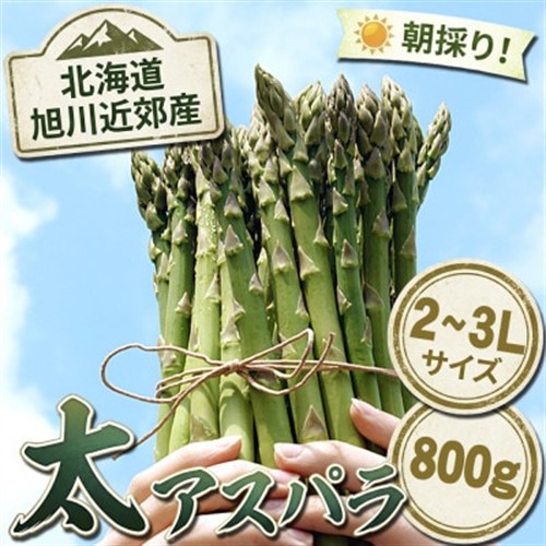 2027年産【2L～3L】【朝採り当日発送!瑞々しく甘い!】北海道産アスパラ800g_01593【配送不可地域：離島】【1156887】