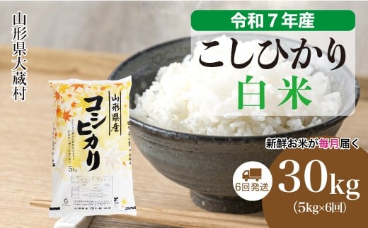 ＜令和7年産米＞ こしひかり 【白米】 定期便 30kg （5kg×1ヶ月間隔で6回お届け）＜配送時期選べます＞