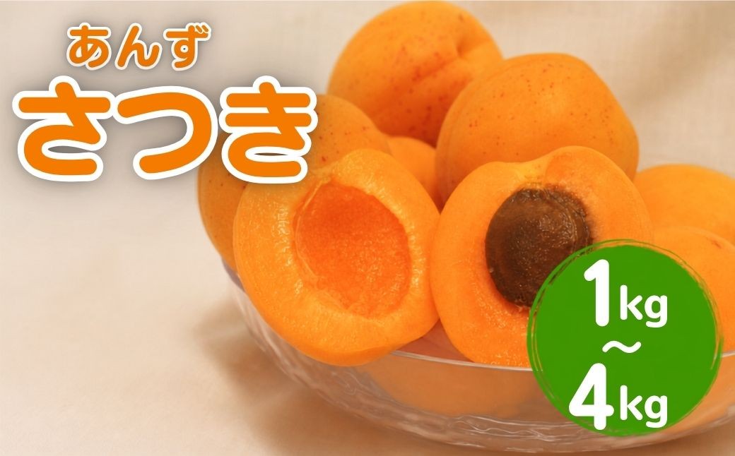 
                  【2027年先行予約】あんず さつき(長野県オリジナル品種) 約1kg~約4kg | 杏子 アプリコット 千曲市産 長野県 信州
                