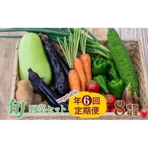 【 野菜定期便 】 旬の野菜セット 野菜定期便 6回 8品程度 セット