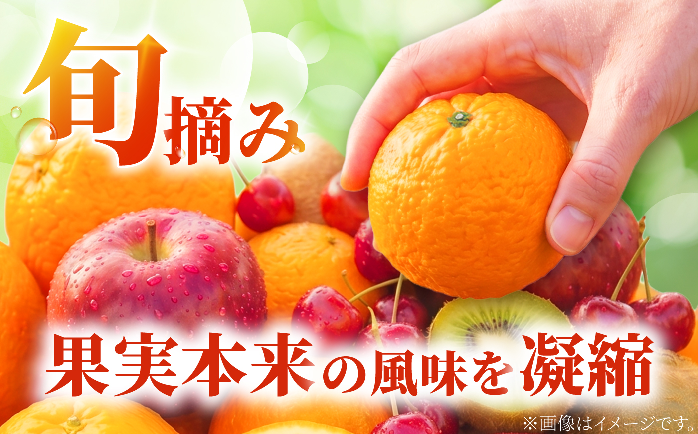 ゼリー カップゼリーまるごと果樹園詰め合わせ 5種12個セット( 伊予柑 みかん りんご キウイフルーツ さくらんぼ )/ 柑橘 ゼリー 果肉 果実 果汁 果物 フルーツ 国産 愛媛県産 スイーツ お