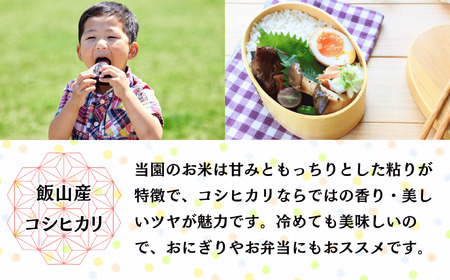 【先行予約】【定期便】[令和７年産 新米]  奥信濃飯山～木内ファームのお米～ コシヒカリ 精米 10kg×3回(7-16A)
