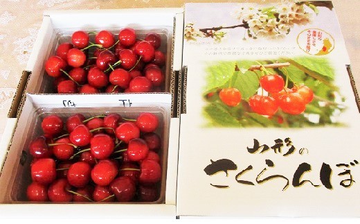 さくらんぼ（紅秀峰）８００ｇ　0025-2604