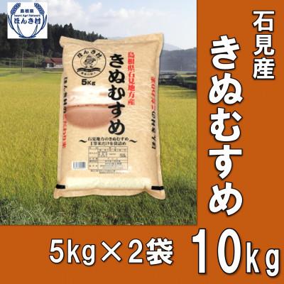 ふるさと納税 浜田市 石見産きぬむすめ10kg