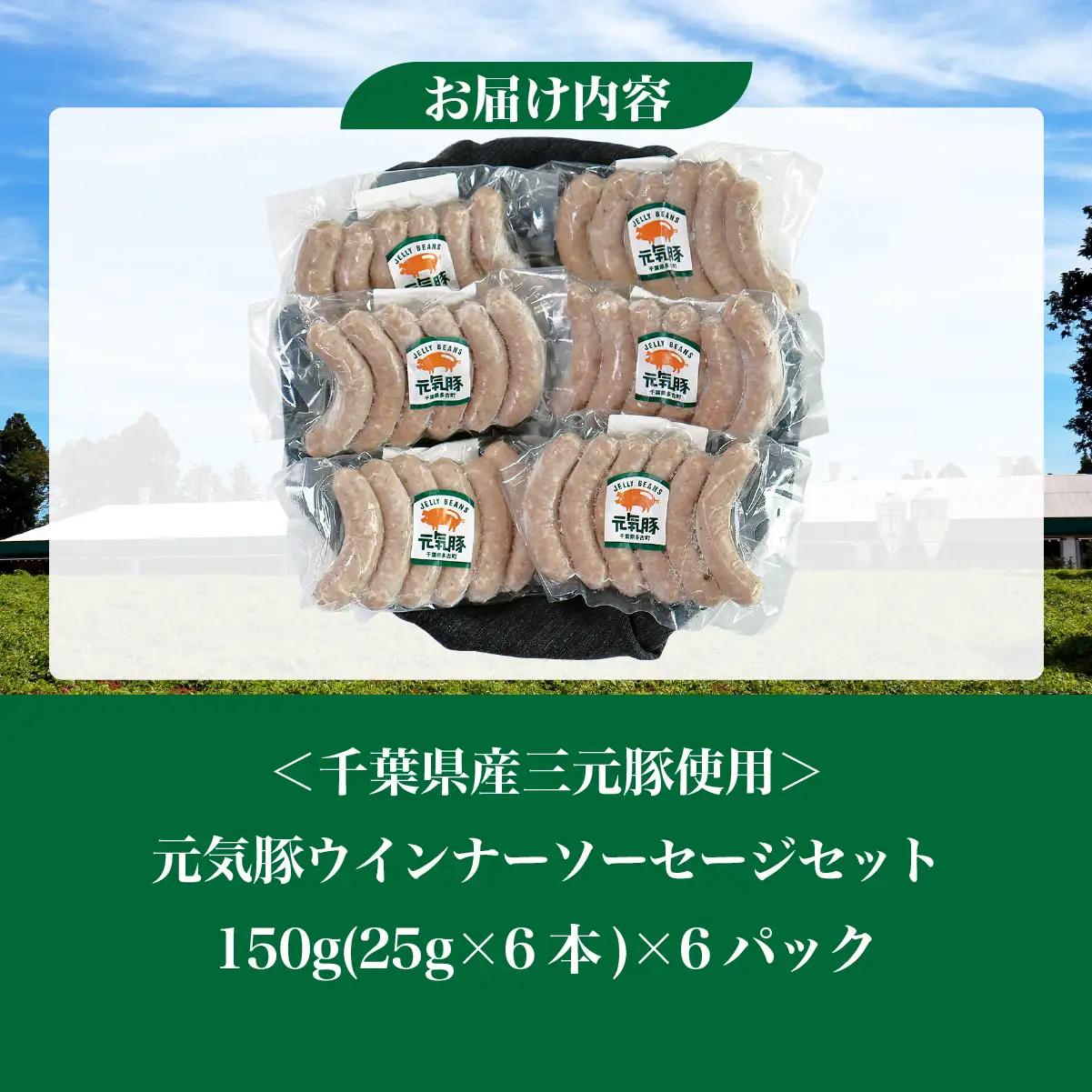 【千葉県多古町産】元気豚 ウインナーソーセージセット(36本入り)【配送不可地域：離島・沖縄県】 TAKB070