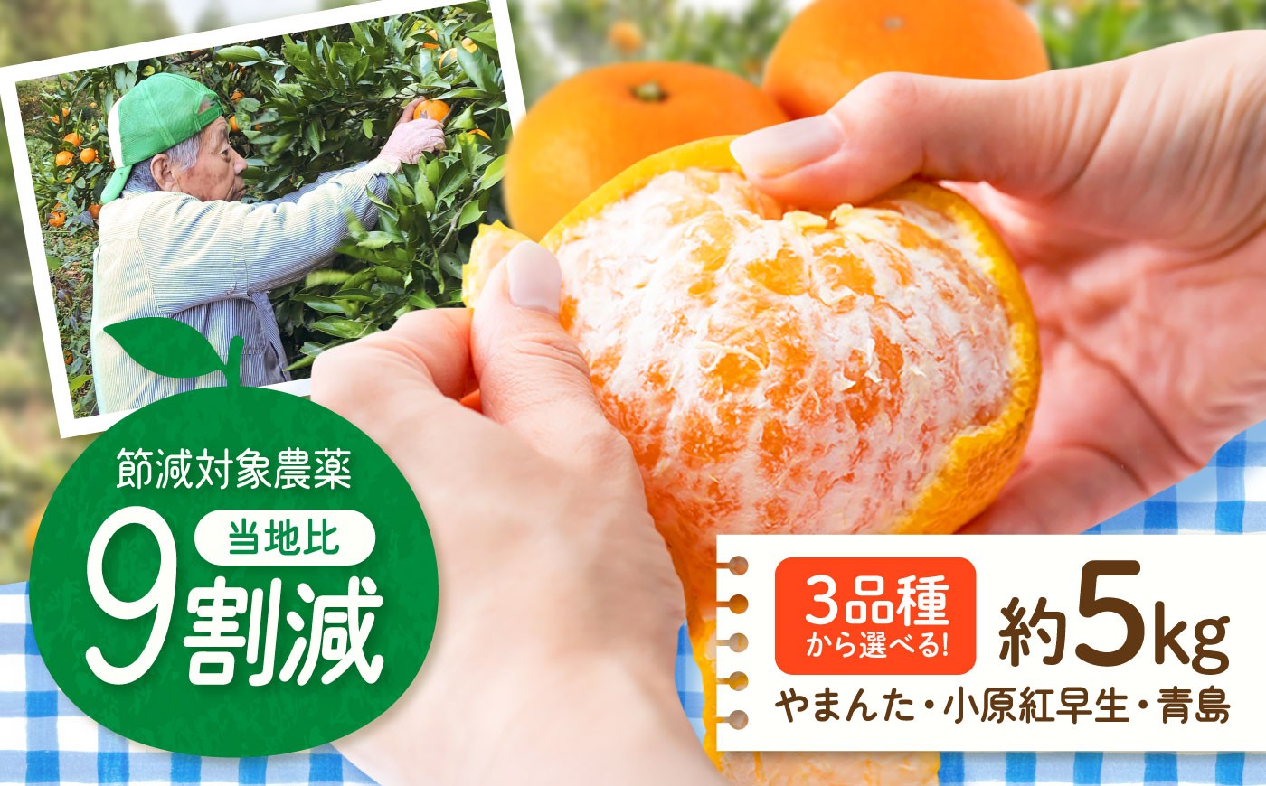 
                  【10月上旬から11月中旬にかけて順次発送】【ご家庭用】【選べる3品種】やまんたみかん / 青島みかん / 小原紅早生みかん 約5kg 広川町 / やまんた農園 [AFCP001]
                