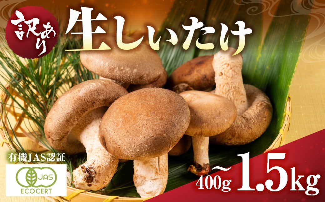 
                  訳あり 国産 有機生しいたけ 椎茸 400g 600g 1.5kg 有機JAS認証 しいたけ 簡易包装 大きさバラバラ  食品 野菜 きのこ しいたけ シイタケ 肉厚 5000円 7000円 10000円 五千円 一万円
                