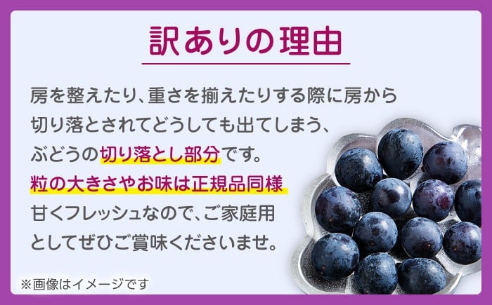 訳あり ピオーネ ぶどう 切り落とし 約1kg ブドウ 葡萄 ぶどう わけあり 国産 熊本県 山鹿市 果物 くだもの フルーツ