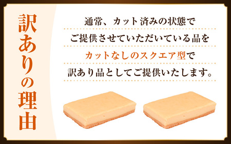 【2026年7月発送】【訳あり】濃厚スイーツ チーズケーキ スクエア 2個【デザート  洋菓子 クッキー 冷凍】 [e44-a014_07]