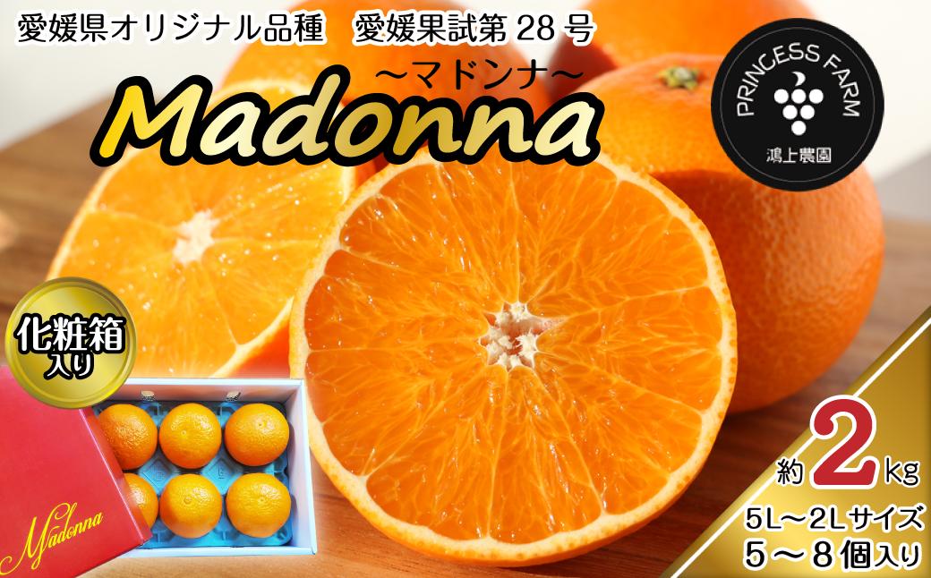 
【先行予約】 農園直送 「Madonna（ 愛媛果試第28号 ）」 約２㎏ 化粧箱 お任せサイズ（2L～5L）5～8個入 2024年11月下旬～2025年1月中旬頃発送　愛媛県オリジナル品種 柑橘 マドンナ
