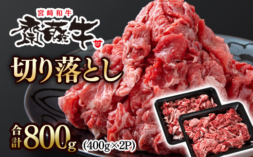黒毛和牛「宮崎和牛 齋藤牛」牛肉 切り落とし 800g 小分け 400g×2パック 国産牛 切り落とし牛肉＜1.2-61＞ 5-6a