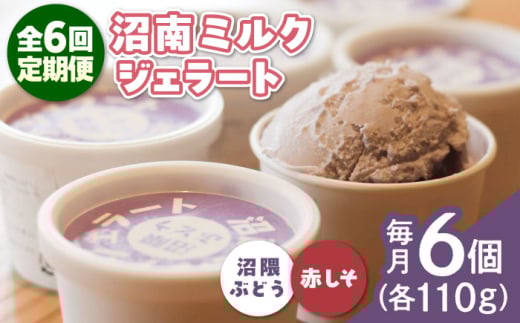 【全6回定期便】アイス 沼南ミルクジェラート 沼隈ぶどう＆赤しそ 各3個 食べ比べセット ぶどう 赤しそ ジェラート セット アイスクリーム デザート スイーツ ご当地 ニューベリーA フルーツ ゆかり グルメ お取り寄せ お土産 食べ比べ 冷凍 贈答 贈り物 濃厚 さっぱり ミルク 味わい 新鮮 果物 特産品 美味しい 贅沢 カップアイス 定期便 広島県福山市/甚ごろう [BAEC047]