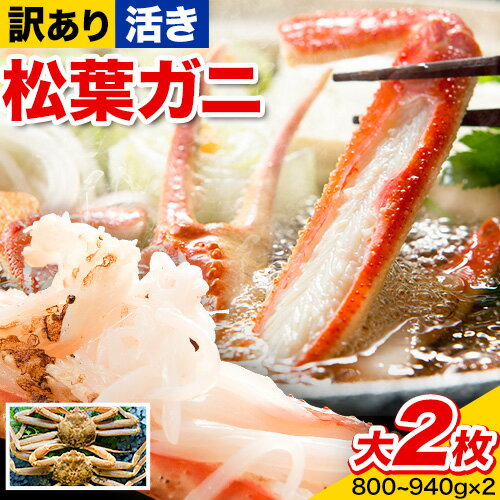 【先行予約】【ふるさと納税】【活き】訳あり 松葉ガニ 大 2枚(1枚/800〜940g前後) 高間商店《11月中旬-3月下旬頃出荷》鳥取県 八頭町 送料無料 カニ 蟹 かに 訳あり 鍋 珍味 冬 グルメ ズワイガニ