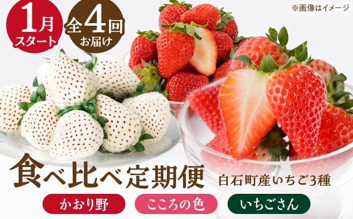
                  【先行予約 2027年1月～発送】【4回定期便】3種の食べ比べ定期便（3）  【StrawberryFarm-K】  佐賀県 白石 [IBJ032]
                
