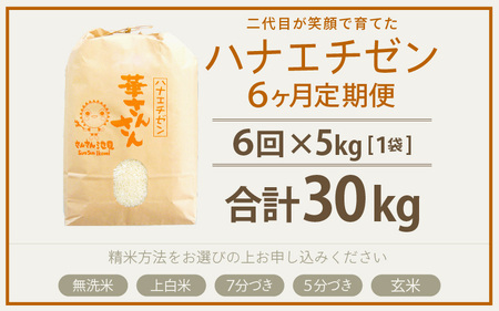 【令和7年産・新米】【6ヶ月連続お届け】ハナエチゼン5kg×6回 計30kg (上白米) ～福井県産 生産者直送！～ 【米定期便 玄米定期便 回数定期便 こめ定期便 5キロ定期便 定期便】 [I-02