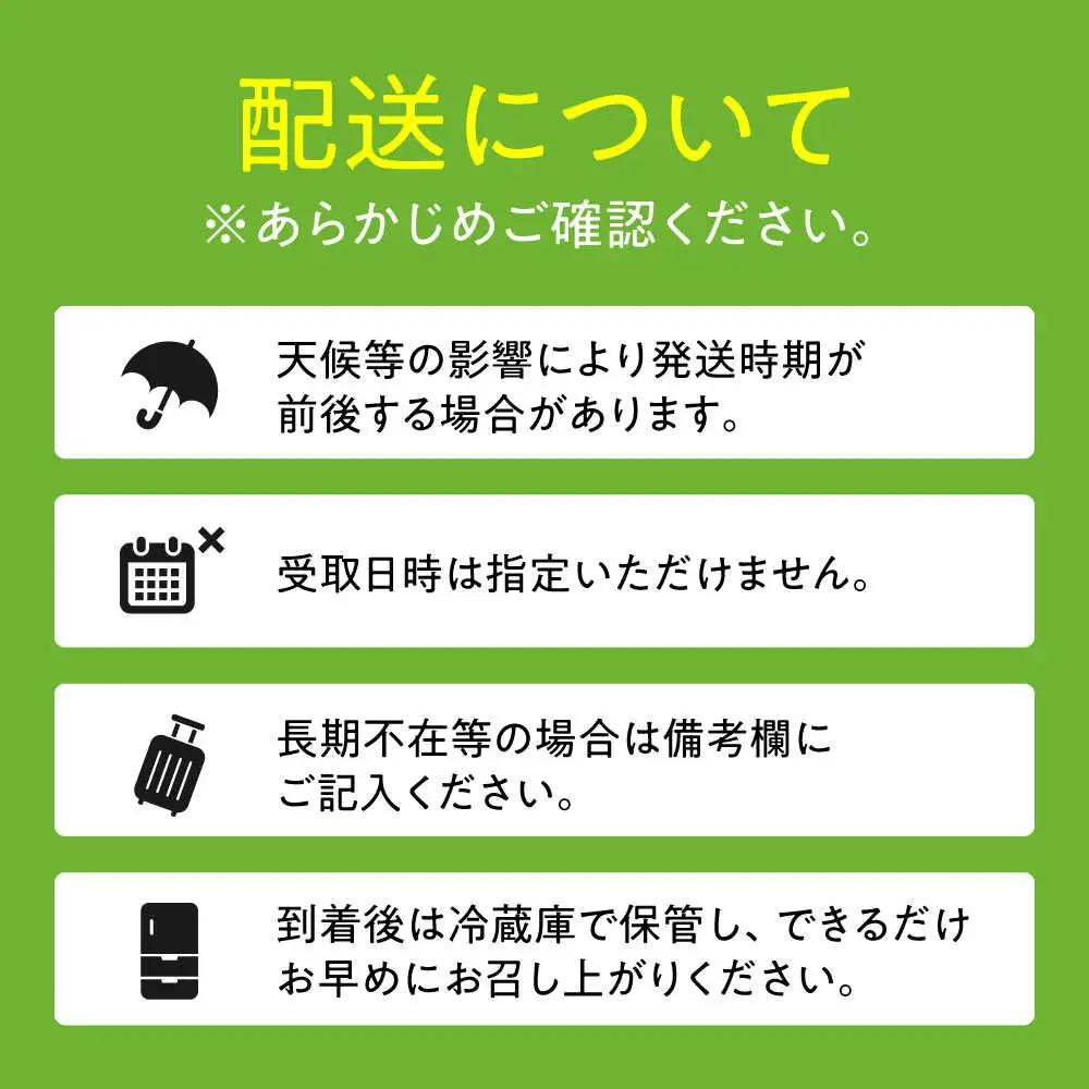 旬の梨 約2.5kg  ARET007 日田 梨