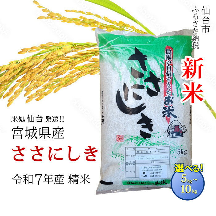 【ふるさと納税】【宮城県産 ささにしき】令和7年度産 精米 ＜ 選べる内容量 5kg ／ 10kg ＞【米 お米 こめ コメ ご飯 ごはん】 | お米 こめ 白米 食品 人気 おすすめ 送料無料