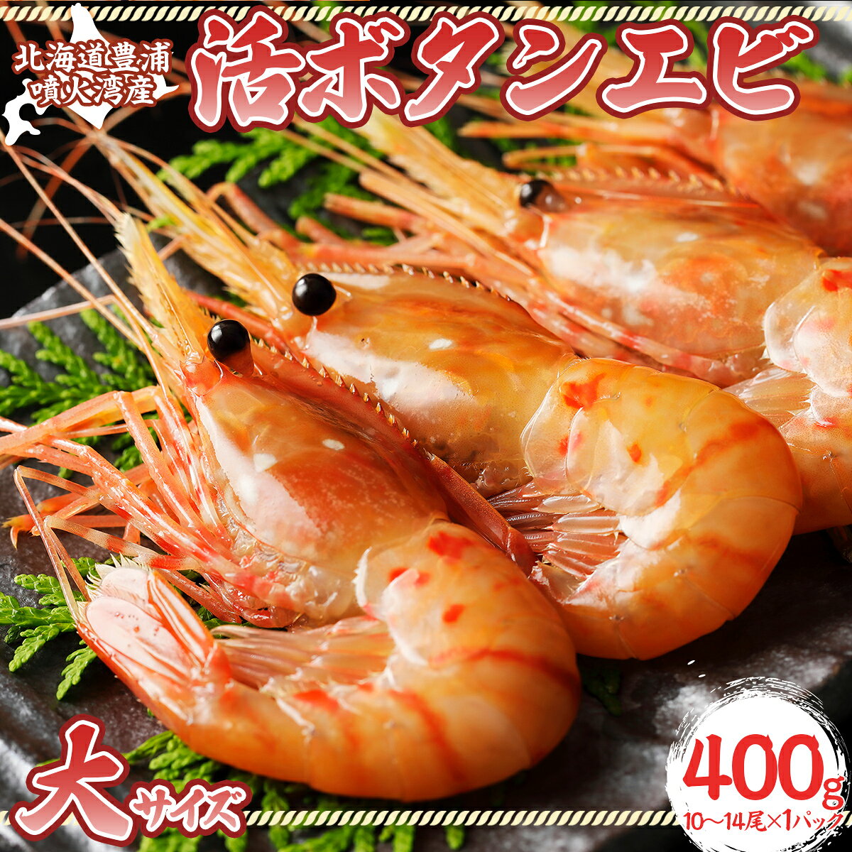 【ふるさと納税】活ボタンエビ 大サイズ 400g（10～14尾）×1パック 北海道 噴火湾産 エビ えび 海老 海産物 新鮮 海鮮 牡丹エビ 牡丹海老 刺身 海鮮 海産 肉厚 濃厚 食べ物 冷蔵 北海道 豊浦町 送料無料【2026年9月以降順次発送】