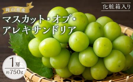 ぶどう 2026年  マスカット・オブ・アレキサンドリア 1房約750g 化粧箱入り ブドウ 葡萄  岡山県産 国産 フルーツ 果物 ギフト
