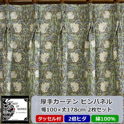 ふるさと納税 茅野市 厚地カーテン ピンパネル 幅100×丈178cm×2枚　Fabric by ベストオブモリス