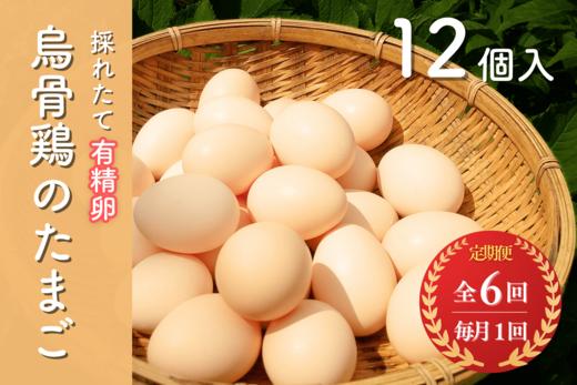 
【定期便６回コース】烏骨鶏のたまご　有精卵１２個入り
