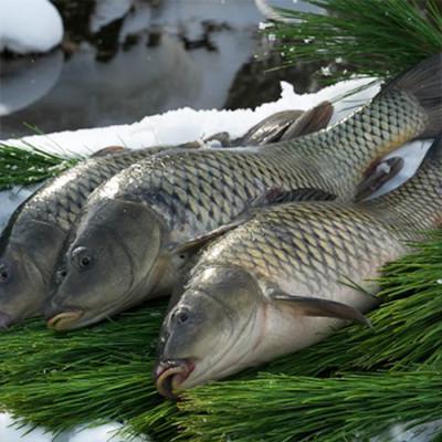 ふるさと納税 米沢市 愛の甘煮(鯉) 1切200g　4切詰め合わせ |  | 03