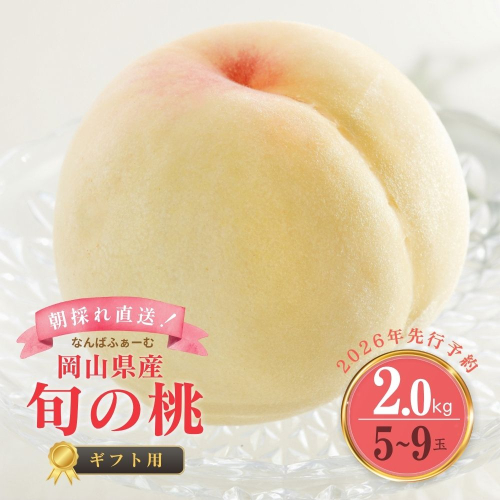 ＜数量限定＞［なんばふぁーむ］岡山県産 旬の桃 2.0kg（5～9玉）[ギフト用]【2026年発送】039-a004