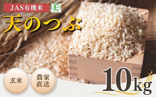 【先行予約】JAS有機米 天のつぶ 玄米 10kg 令和7年産 |  JAS 有機米 米 コメ ブランド米 低温貯蔵庫 福島県産 根本有機農園