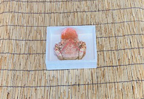 毛かに400g前後～550g前後×1尾・いくら醤油漬け100g×1Pセット C-76035