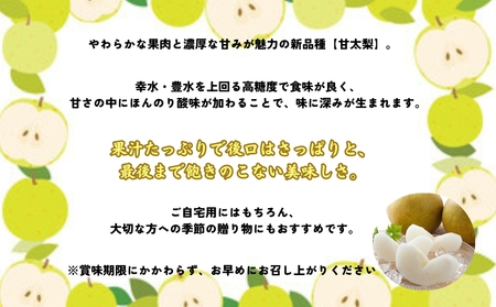 【濱田農園】 甘太梨 約5kg 【数量限定】【予約受付中・10月中旬より順次発送】フルーツ 果物 梨 ナシ 完熟梨 季節の梨 旬の梨 秋の梨 鳴門の梨 完熟果物 季節の果物 旬の果物 秋の果物 鳴門の