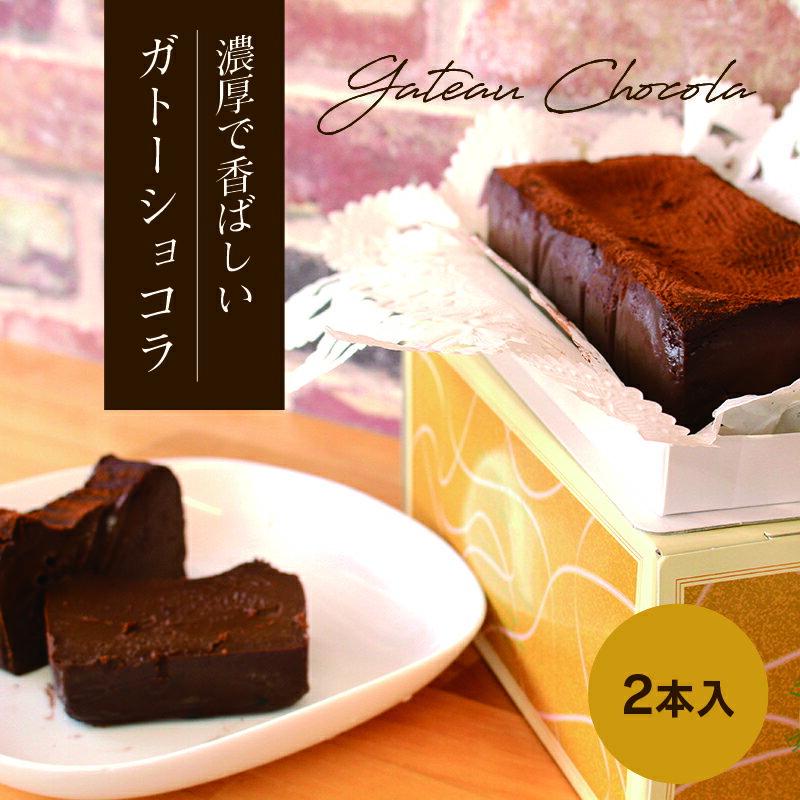 【ふるさと納税】【27】ガトーショコラ2本セット