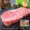 【ふるさと納税】鹿児島県産 黒毛和牛 サーロインステーキ 300g × 1枚 A4ランク以上 国産 牛肉 牛 肉 精肉 サーロイン ステーキ 和牛 最高部位 柔らか ジューシー 肉匠いづみ屋 食品 お取り寄せ グルメ 冷凍 鹿児島県 南九州市 送料無料