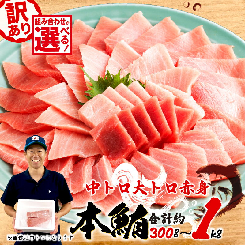 【ふるさと納税】 訳あり 本マグロ 中トロ 約400g 赤身 500g 大トロ 約300g 鮪 冷凍 本鮪 漬け丼 刺身 魚 鮮魚 海鮮 食品 まぐろ 不揃い 規格外 柵 魚介類 マグロ ネギトロ 10000円 1万円 高級 グルメ 贅沢 マグロセット 三種盛り 藤枝市 静岡県
