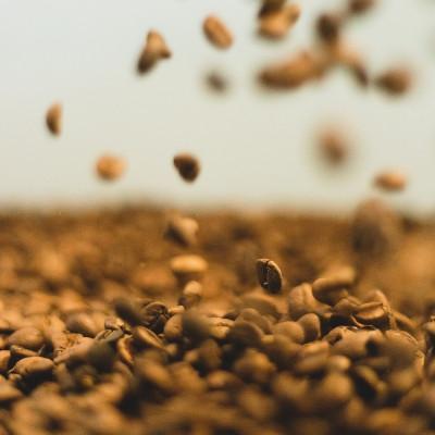 ふるさと納税 泉大津市 【自家焙煎珈琲】キリマンジャロブレンド300g×2袋入り(中挽き)焙煎仕立ての珈琲豆をお届け! |  | 03