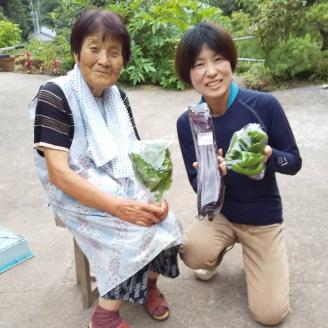 せいよのうまいもんセット（５～７品目）