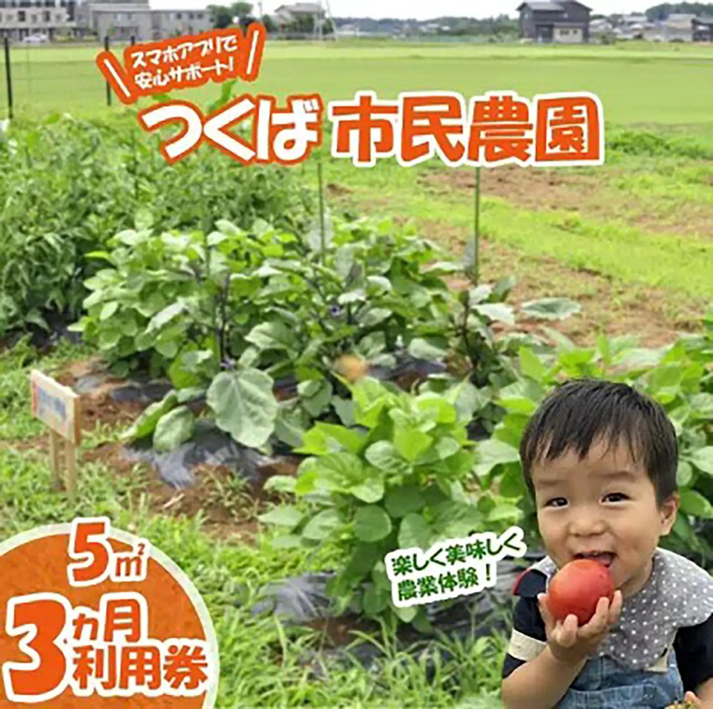 市民農園 ハルファーム 利用券 (5㎡ 3ヵ月分)【農園】