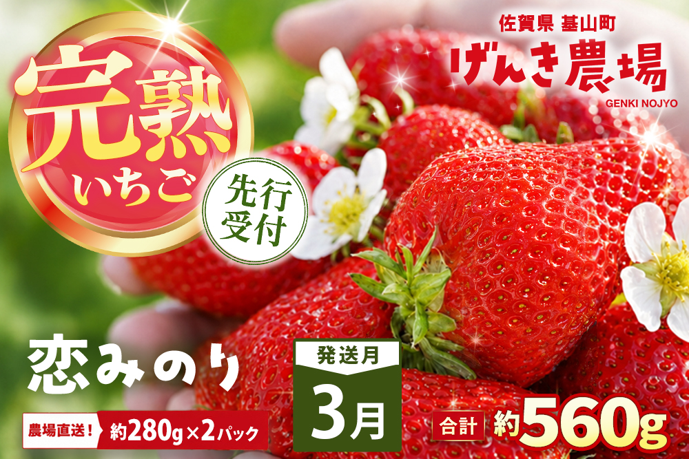 【2027年3月発送】【先行予約】【農場直送！】恋みのり(約280g×2P)【ふるさと納税 佐賀県 基山町産 げんき農場 苺 ブランド苺 イチゴ いちご フルーツ 果物 くだもの 美味しい おいしい 