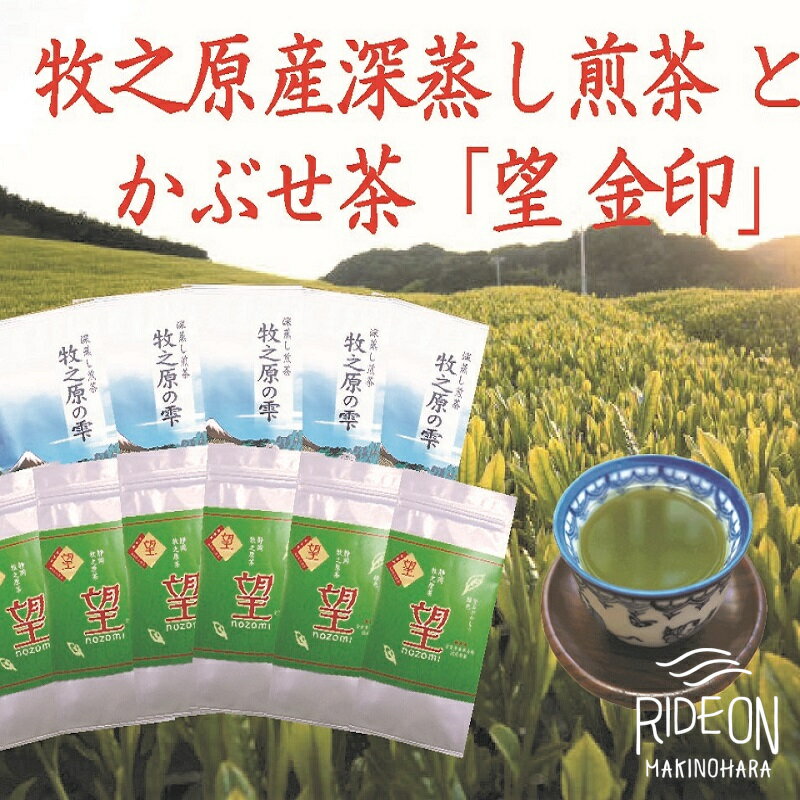 【ふるさと納税】 新茶 令和7年5月出荷 牧之原産 深蒸し茶 11本 詰合せ セット お茶 緑茶 煎茶 かぶせ茶 日本茶 静岡茶 贈答用 ギフト プレゼント おすすめ 父の日 母の日 お中元 お歳暮 のし対応 熨斗 おいしい 健康 リラックス カフェイン おいしい 牧之原市 静岡県