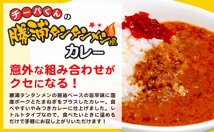 チーバくんの 勝浦 タンタンメン風カレー (180g) 6個セット 一般社団法人勝浦市観光協会《90日以内に出荷予定(土日祝除く)》千葉県 勝浦市 担々麺 カレー ご当地 チーバくん レトルトパウチ 