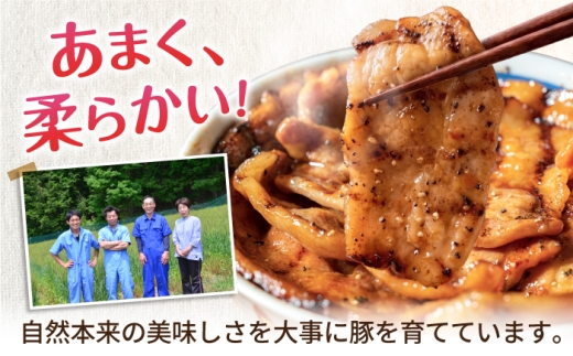 豚肉 豚バラ ポーク 肉 豚 国産 岐阜県産 小分け バラ肉 スライスカット 豚バラ肉 豚バラスライス ストック  