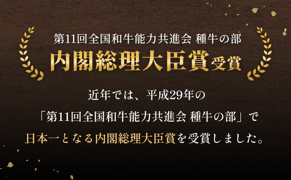 「百年の恵み おおいた和牛 」A5 ロースステーキ用 200g × 2枚 × 3ヶ月 定期便 おおいた和牛 ロースステーキ A5等級 黒毛和牛 大分県産 牛肉 高級肉 霜降り 和牛ステーキ 風味豊か 