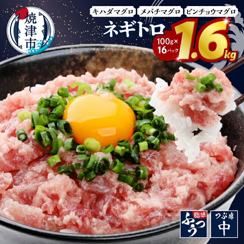 【ふるさと納税】ネギトロ 1.6kg 10,000円 100g×16パック 《 レビューキャンペーン 》 まぐろ 小分け 天然 黄肌鮪 目鉢鮪 ビンチョウ鮪 合計1.6kg 魚 冷凍 焼津 10000円 a10-1289