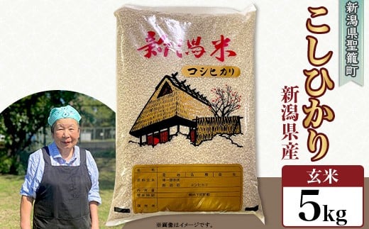 【玄米】新潟県産コシヒカリ5kg（特別栽培米）近藤農園