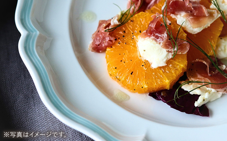 【波佐見焼】ombre de fleur プレートL melodie blue 2枚セット【翔芳窯】[FE555]