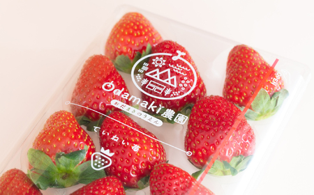 M-AI32.【2月～3月上旬発送】減農薬いちご 「古都華＆珠姫」2パック 食べ比べ 特別栽培農産物 ※配送地域限定